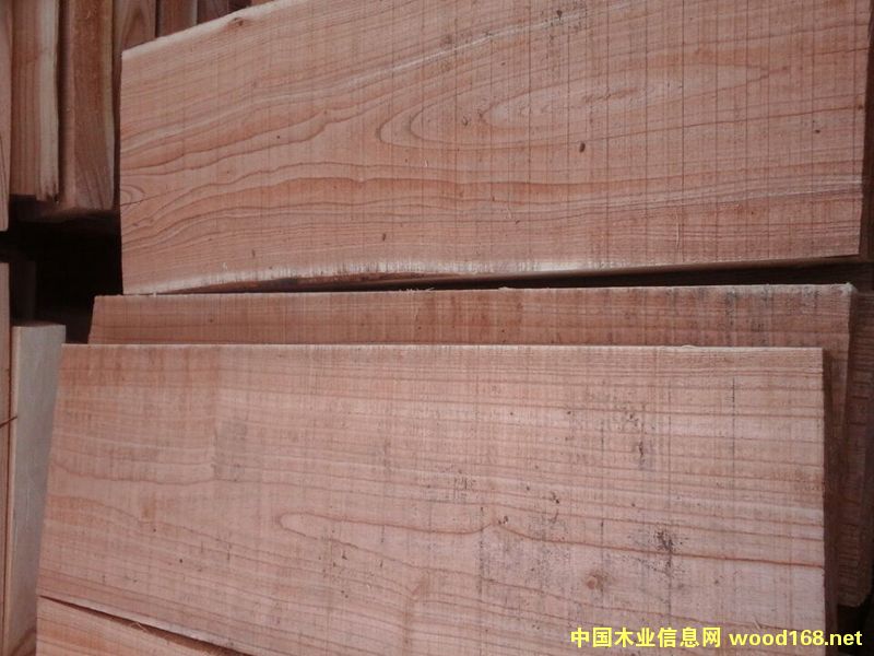 �ľ��ɰ�5��Ԕ����B