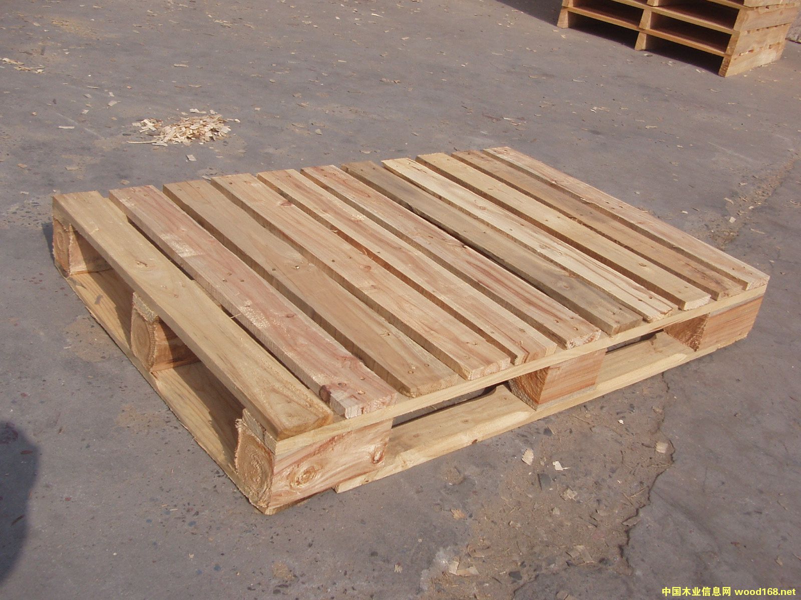 �c���鿴ľ�бP�Ŵ�DƬ