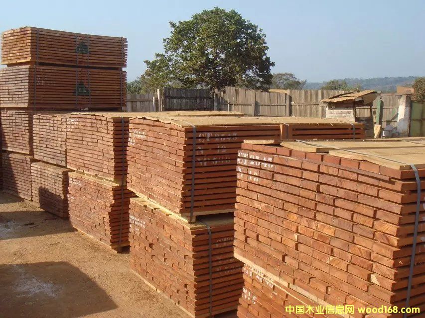 ��ľ�巽�� 1��Ԕ����B