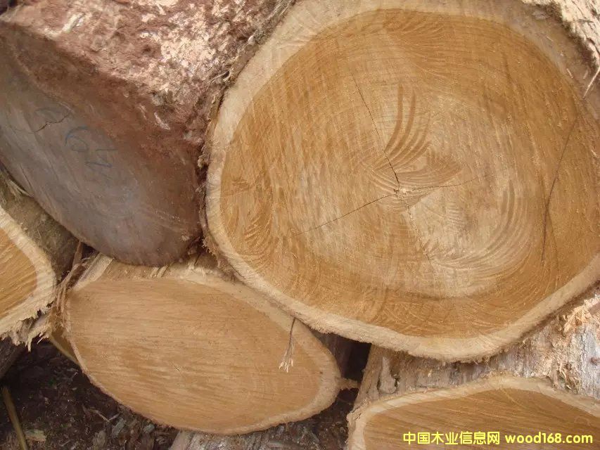 ��ľԭľ3��Ԕ����B