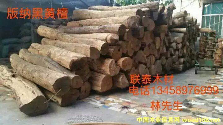 ��{���S̴��Ԕ����B