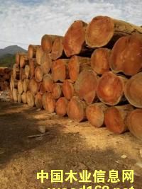 �S���ľ2��Ԕ����B