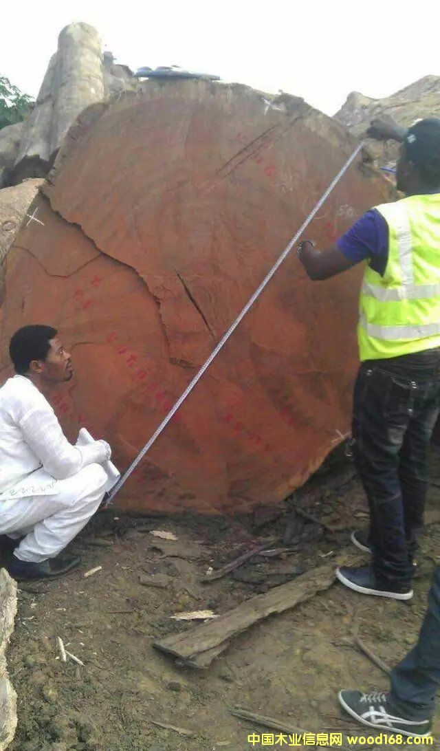 ��ڏ��ͻ���Ԕ����B