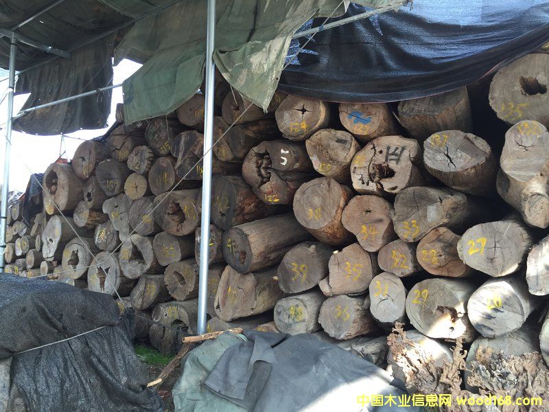 ���黨��ԭľ��40 cm X 4 m)��Ԕ����B