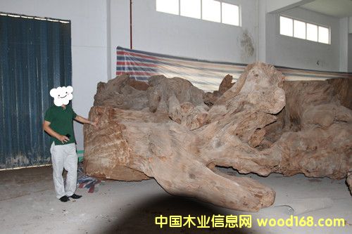 �����m5�f��ꎳ�ľ ���^��Ԕ����B