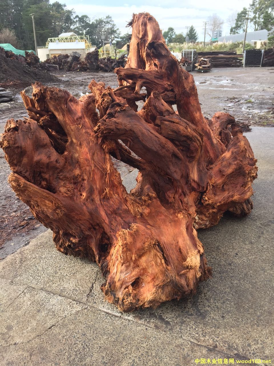 �����m���f��ꎳ�ľԭľ�����Ԕ����B