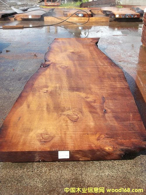 �����m5�f��ꎳ�ľ ����Ԕ����B