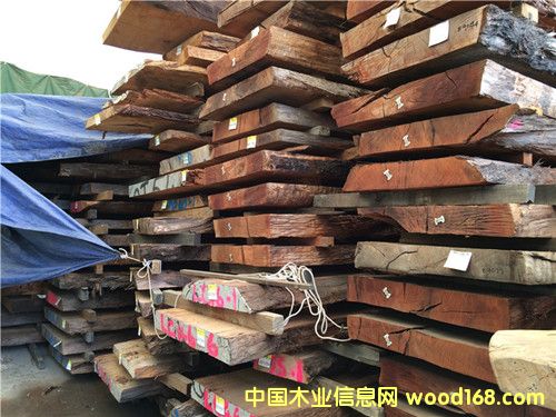 �����m���ҙ�ľ����Ԕ����B