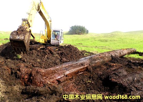 �����m5�f��ꎳ�ľ �ھ�F(xi��n)����Ԕ����B