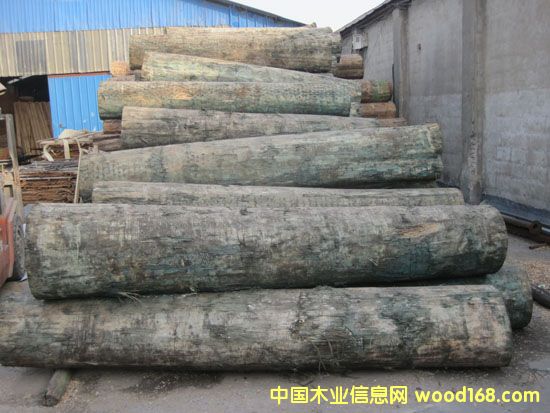 ݗ����ԭľ��Ԕ����B