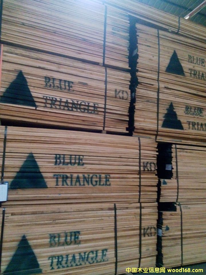 �t��4/4������Ԕ����B