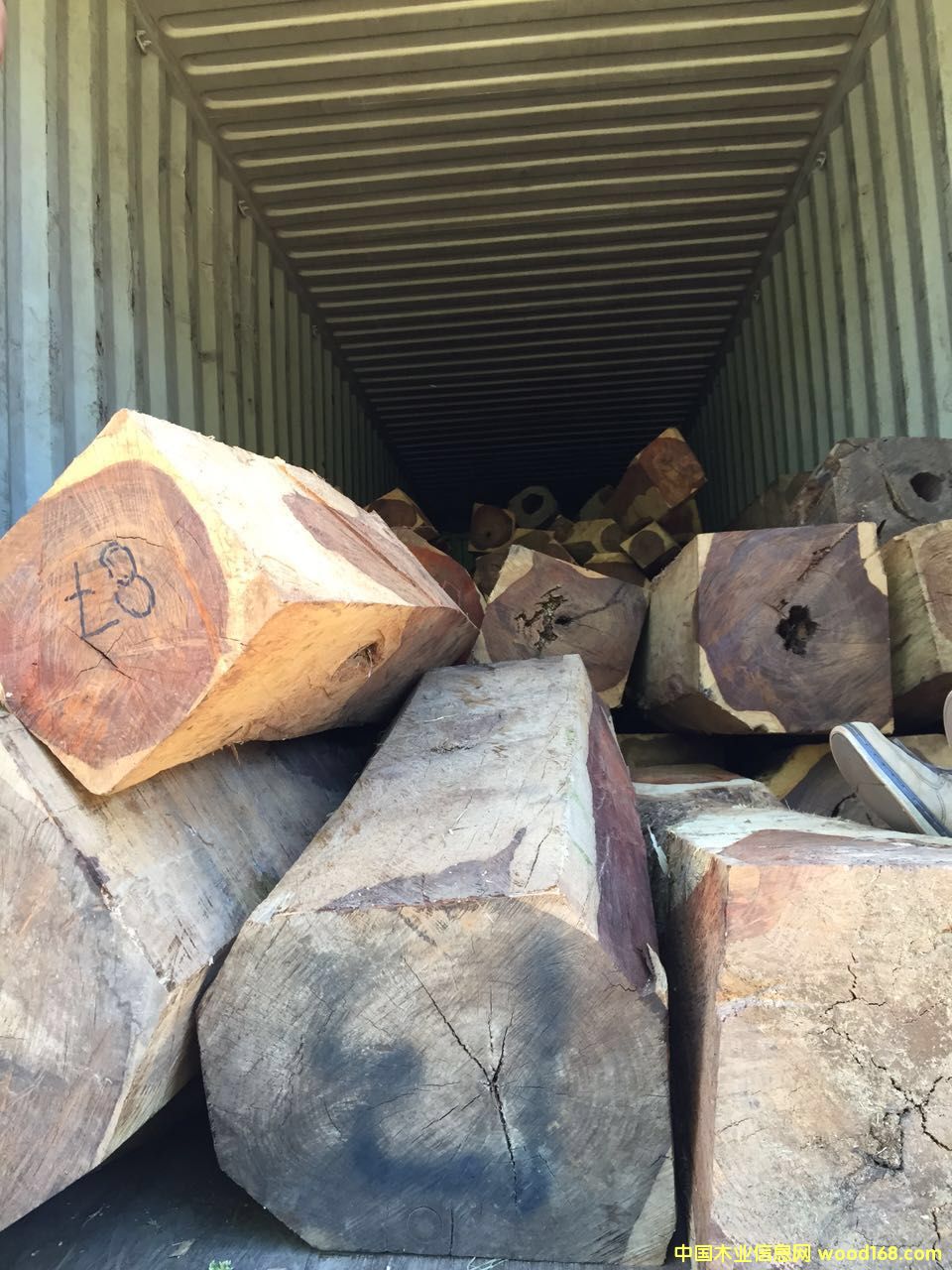 微凹黃檀的詳細(xì)介紹