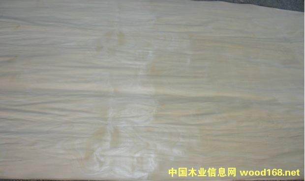 ��ľ�ΰ��Ԕ��(x��)��B