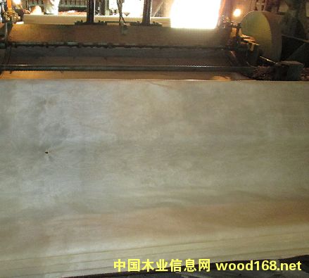 ��ľľƤ��Ԕ��(x��)��B