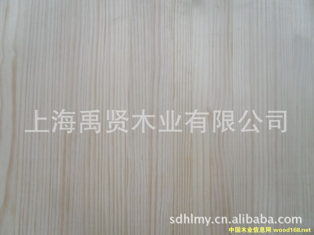 �����m����M��ݗ����ֱƴ�� ��Ԕ����B