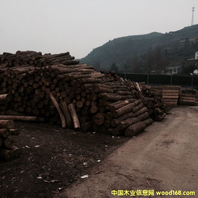 ���خaƷ�A�[��Ԕ����B