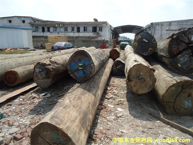 [��] ��¡ľ�����É|ľ����ľ���ڂ��ҵȸ��NӲľ����l(f��)�r��ă�(y��u)