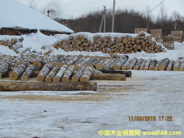 ���_˹���������M�ژ�ľ��Ԕ����B