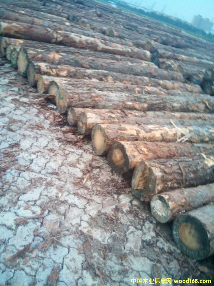 �����m�����ɵ�Ԕ����B