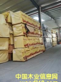 ��ľ��ĵ�Ԕ����B