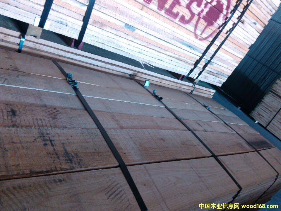 紅橡的詳細(xì)介紹