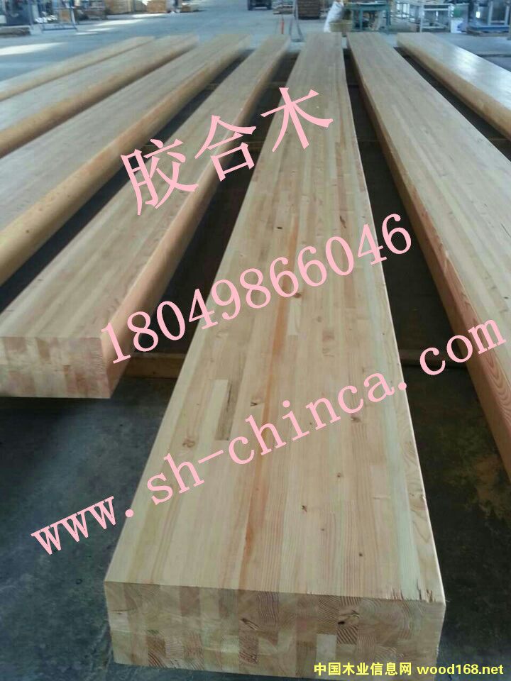 �c���鿴�z��ľ�Ŵ�DƬ