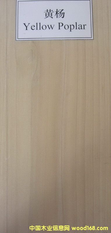 �S���Ԕ����B