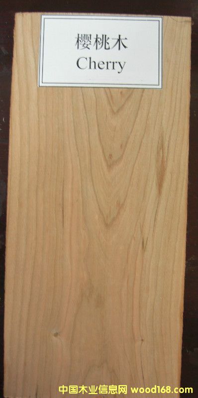 ����ľ��Ԕ����B