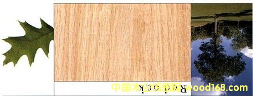 �t���Ԕ����B