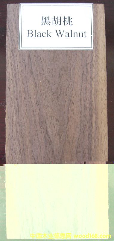 �ں��ҵ�Ԕ����B