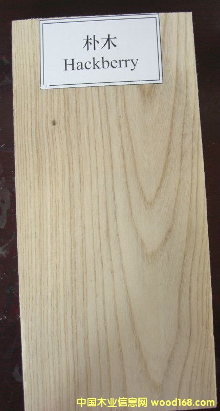 ��ľ��Ԕ����B