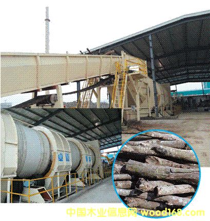 ���Ϲ��΄�Ƥ���a����Ԕ����B