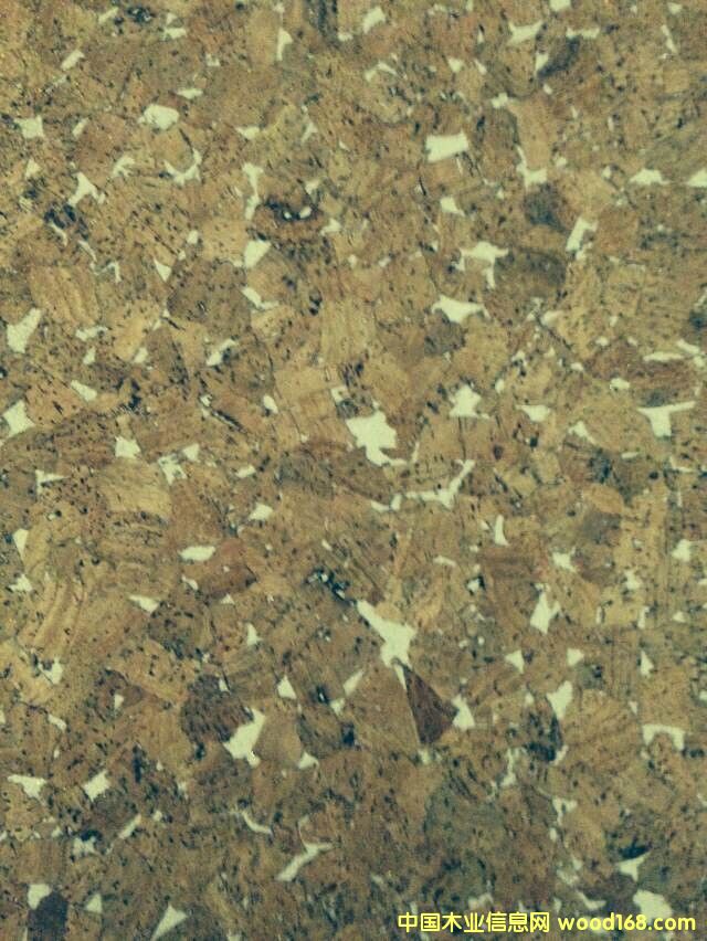 �c���鿴�WУ���԰僞Ʒ�Ŵ�DƬ