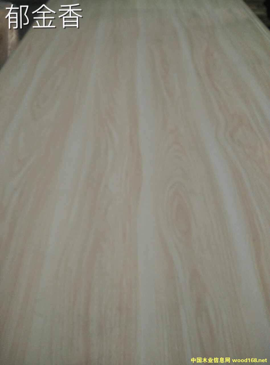 �����/�R���׵�Ԕ����B