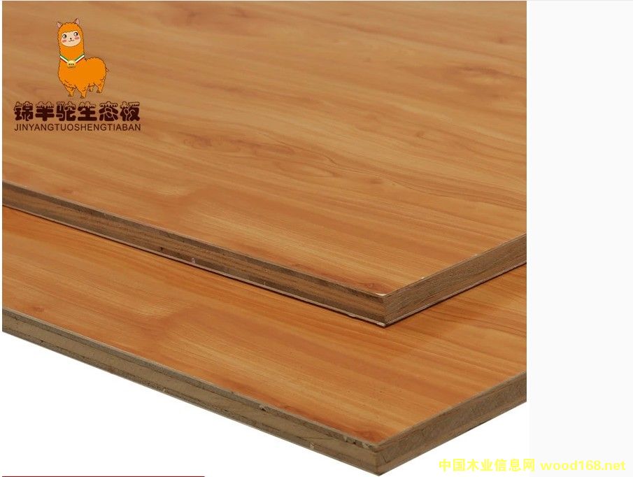 ���ľ��Ԕ����B