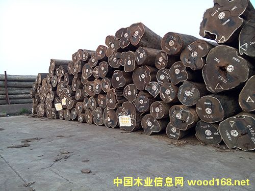 雞翅的詳細介紹