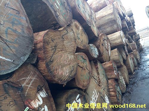 阿莫棟的詳細介紹