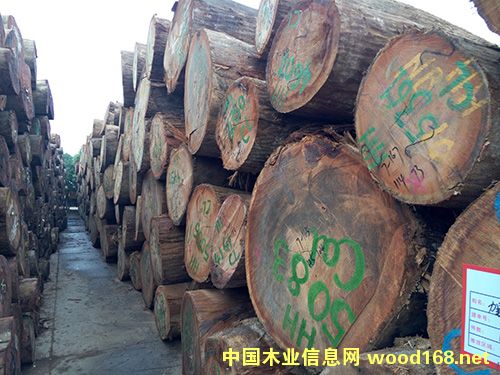 冰糖果的詳細介紹