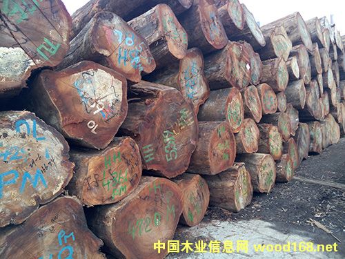 第倫桃的詳細介紹