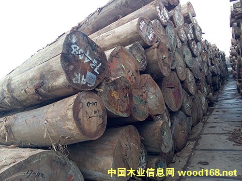 銀口的詳細介紹