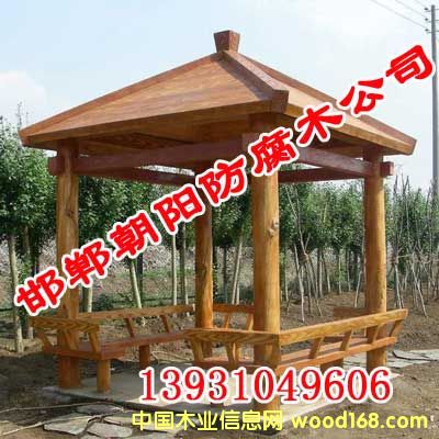 �c���鿴����ľ��ͤ�Ŵ�DƬ