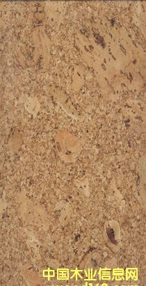 �c���鿴ܛľ����CW090140�Ŵ�DƬ