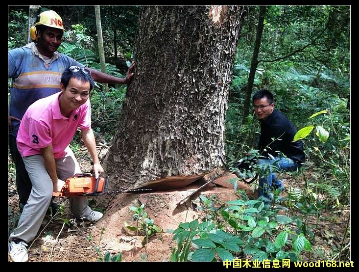 �ں��ҵ�Ԕ����B