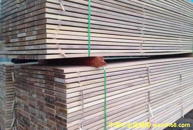 巴勞木的詳細介紹