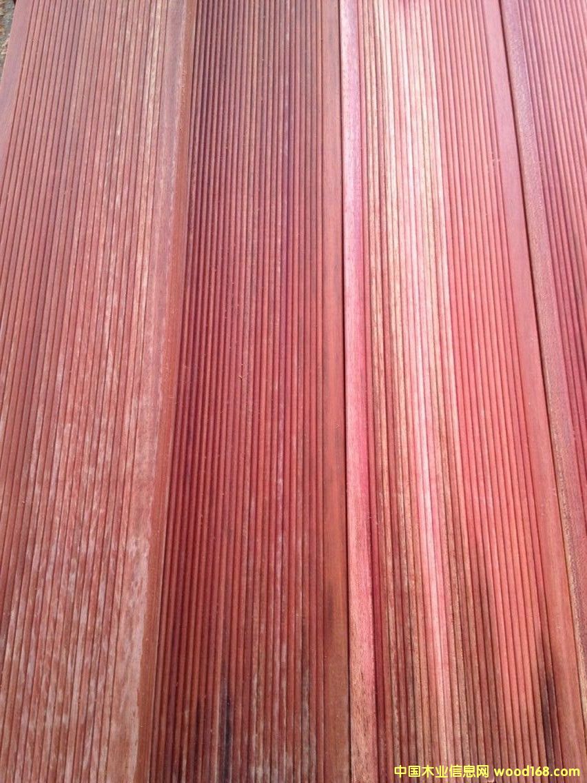 ����ľ3��Ԕ����B