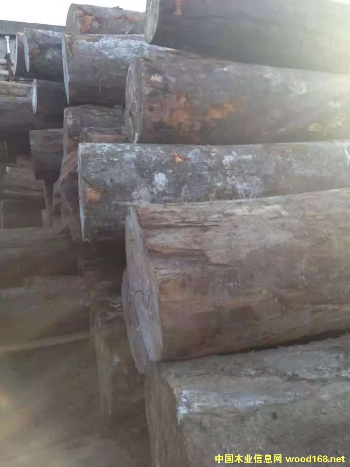 �W�ޙ�ľԭľ�F؛��Ԕ����B