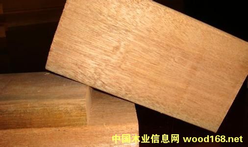 �c���鿴����ľ�Ŵ�DƬ