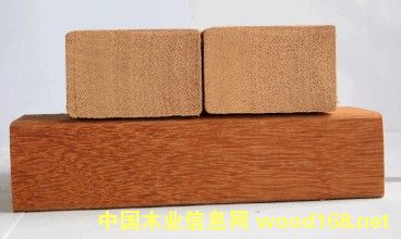 �c���鿴����˹�Ŵ�DƬ