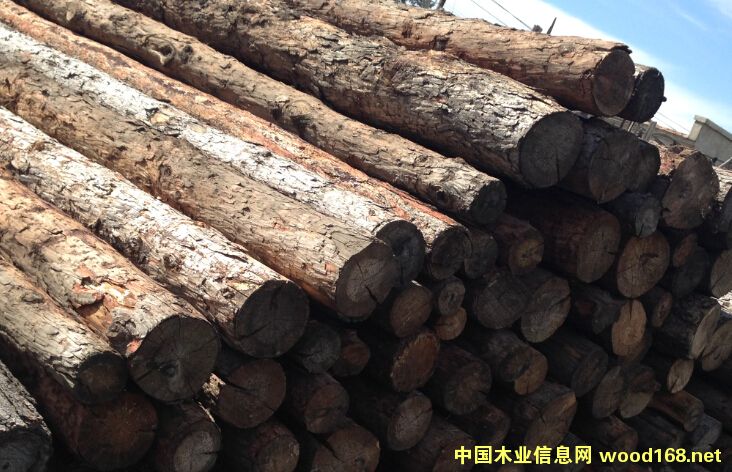 ������Ԕ����B