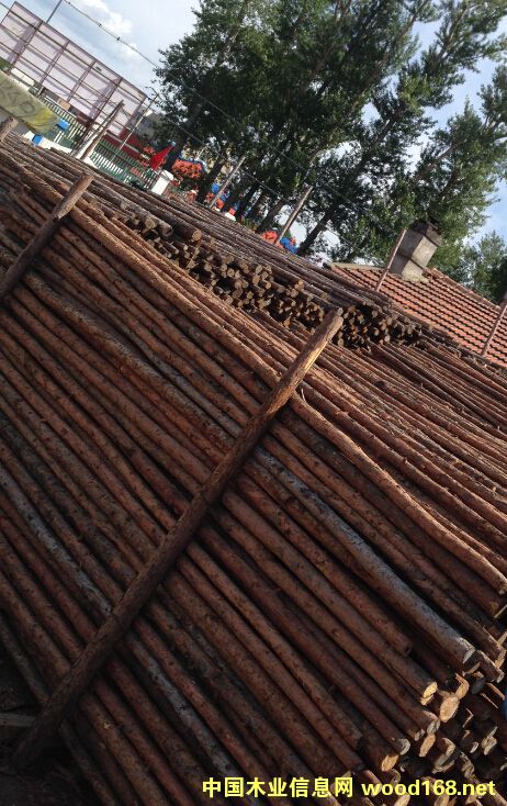 3m 4m ľ�U��Ԕ����B